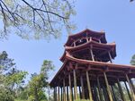 悠闲假日
