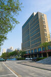 城市街道旁的高楼建筑