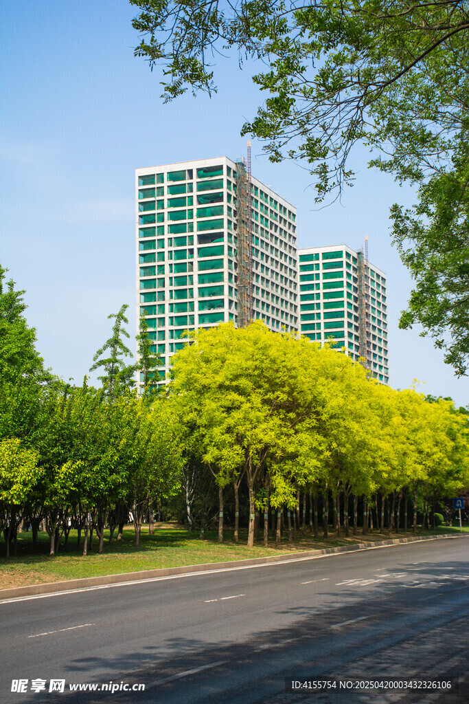 城市绿树旁的高楼景观