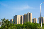 城市高楼与绿树