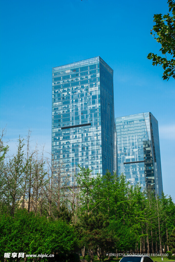城市高楼与绿树