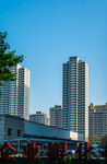 城市高楼景观