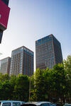 城市高楼与绿树景观