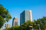 城市高楼与绿树