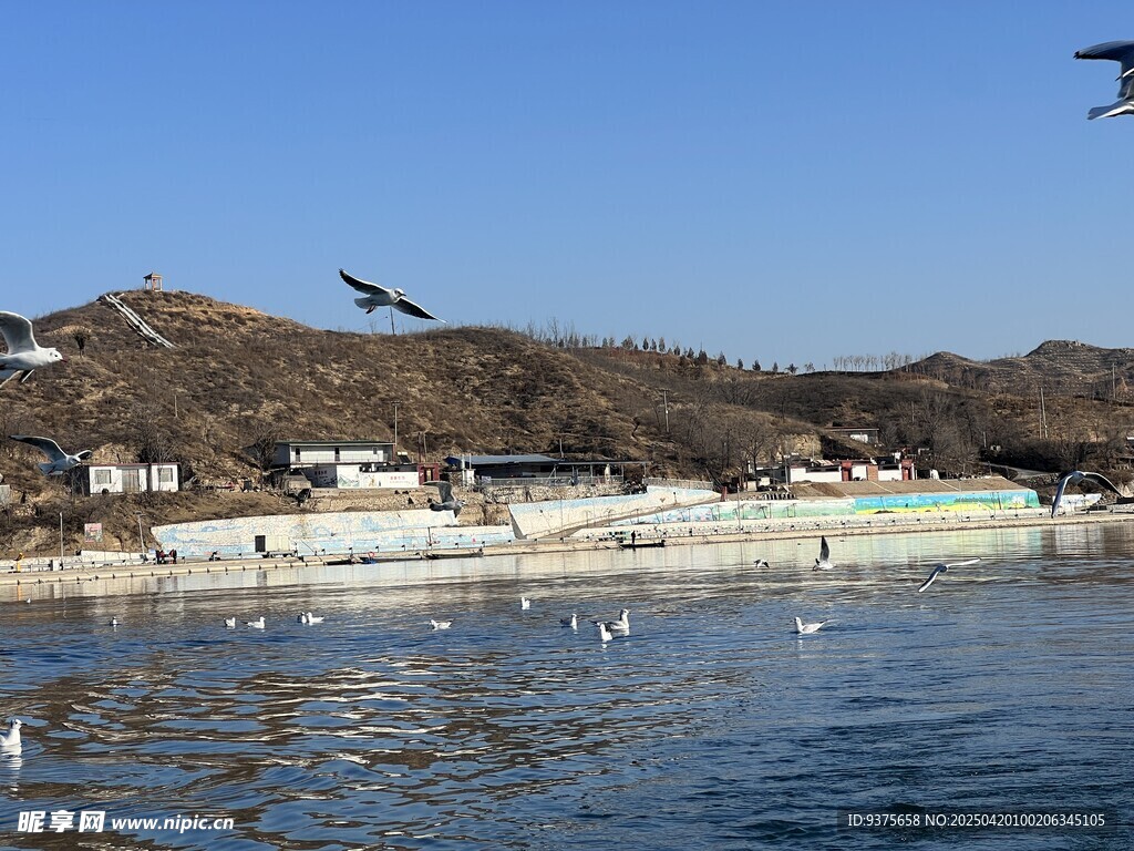 海鸥翔集美景