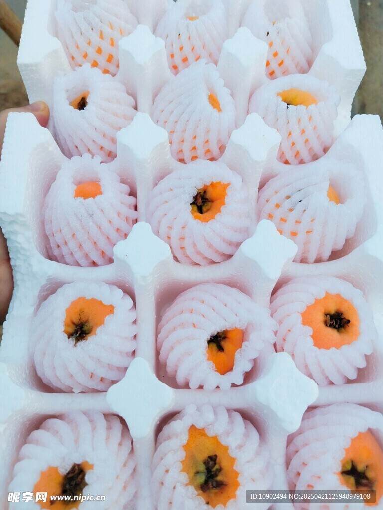 盒装精美枇杷