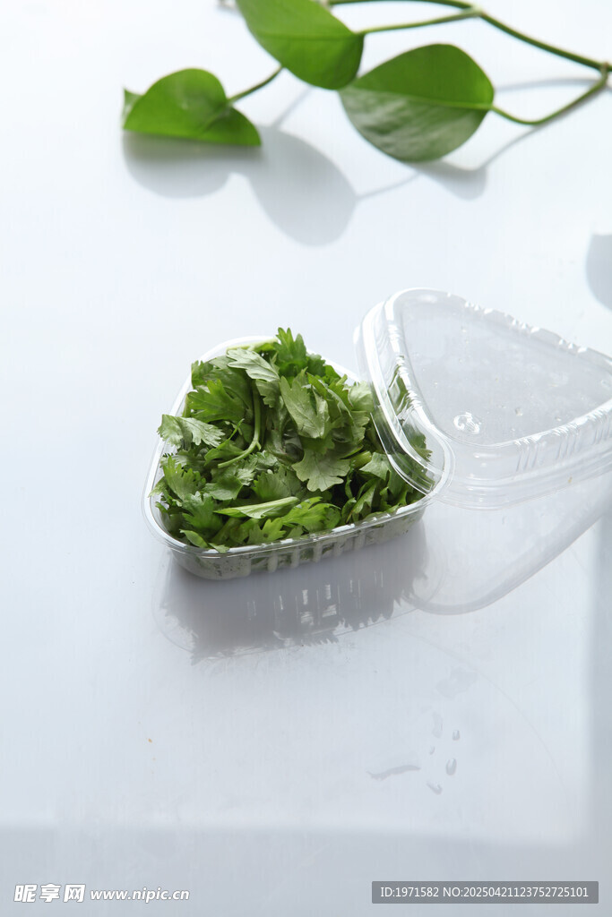 香菜末