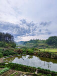 田园水乡美景