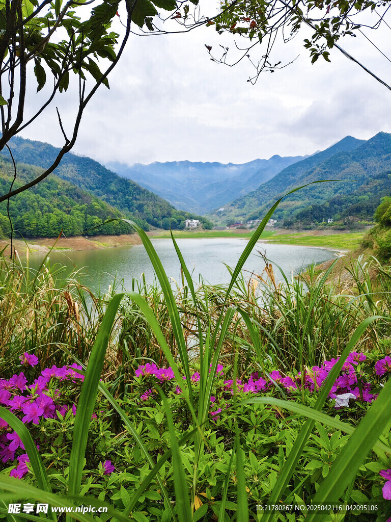 湖畔繁花伴青山美景