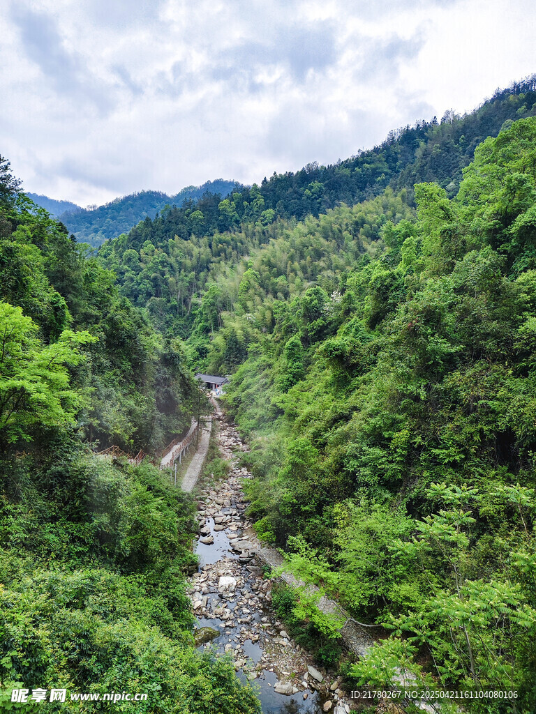 山间溪流穿翠谷