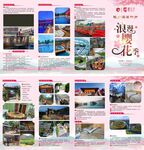 浪漫樱花季三折页