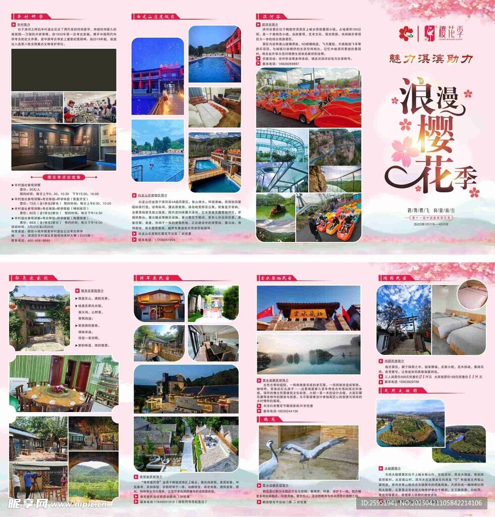 浪漫樱花季三折页