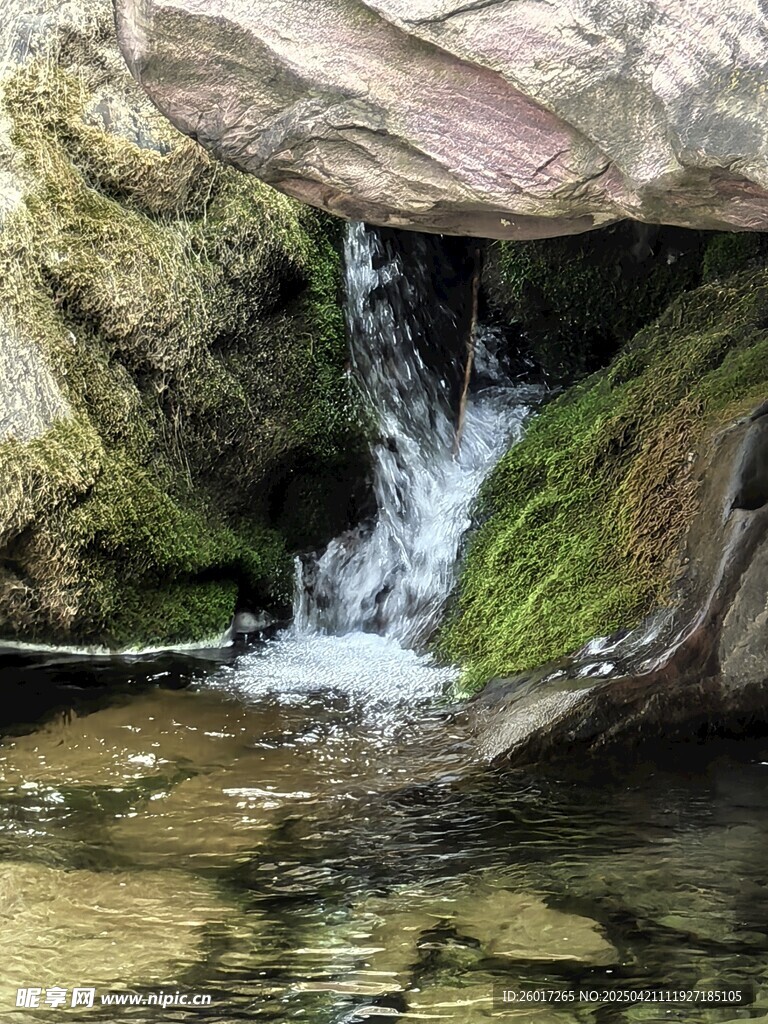 山间清泉潺潺流淌