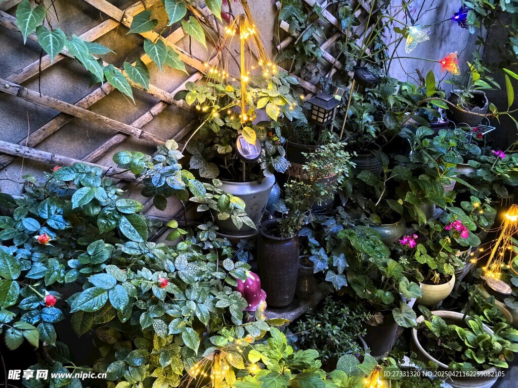 繁茂绿植装点的美丽花架