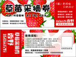 草莓采摘券优惠大放送