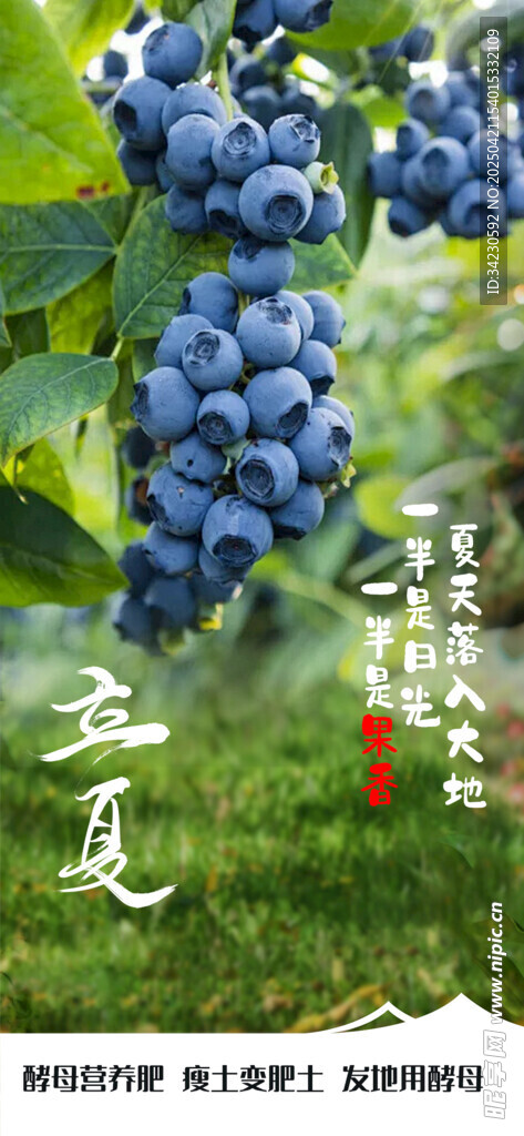 立夏