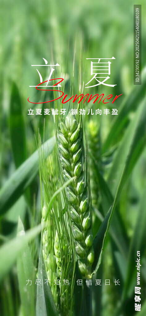 立夏