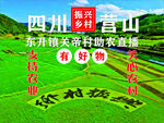 关爱乡村直播 广告  乡村土货