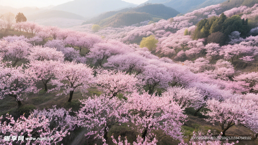 桃花林