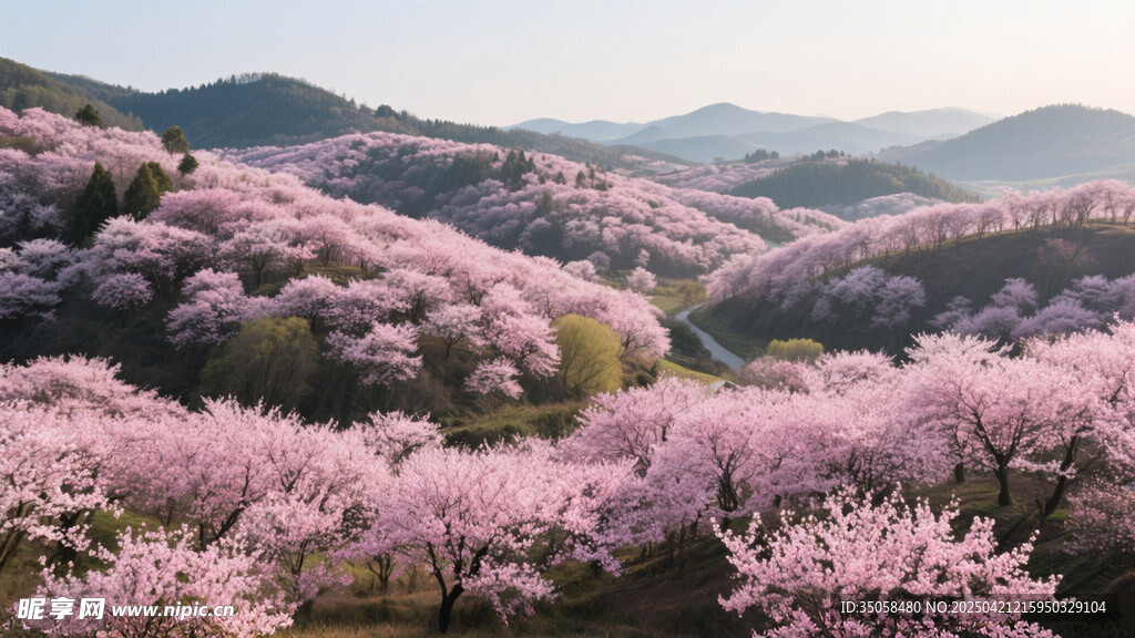 桃花林