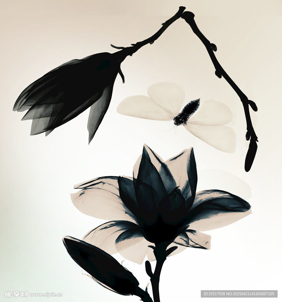 水墨风花卉与蜻蜓插画