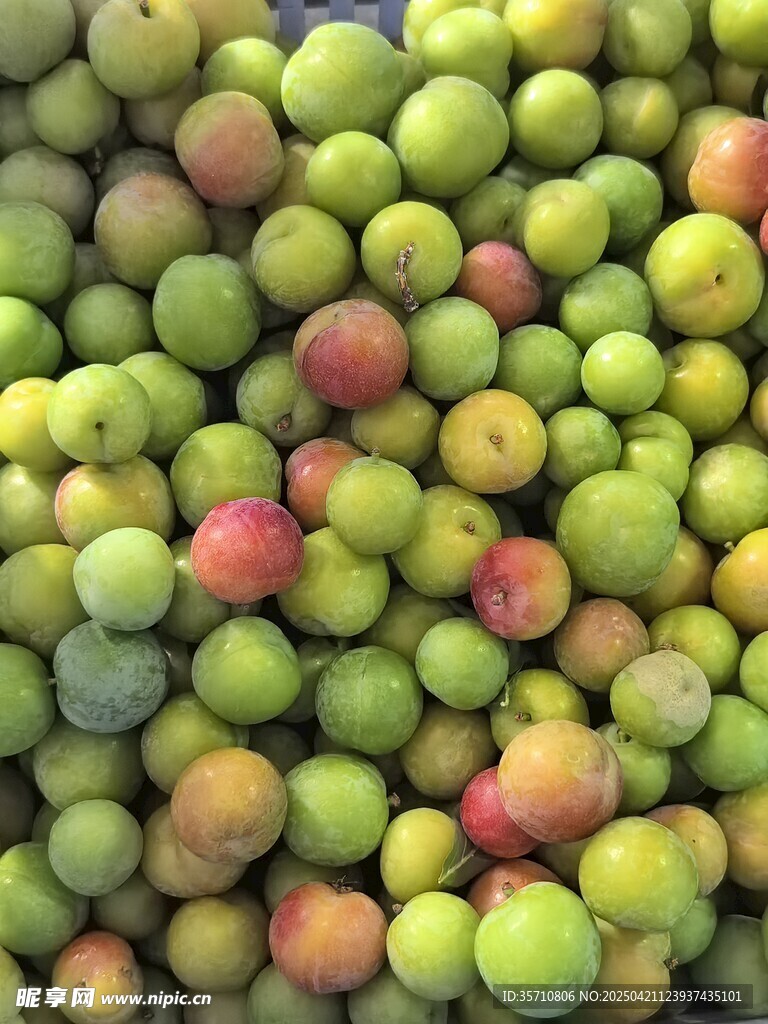 青红相间的三月李