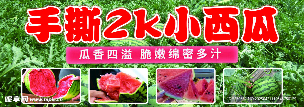 手撕2K小西瓜
