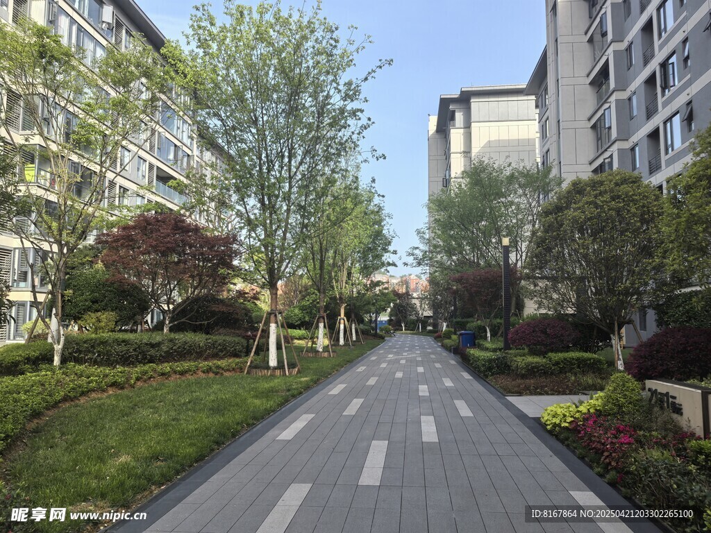 小区内整洁的林荫道路