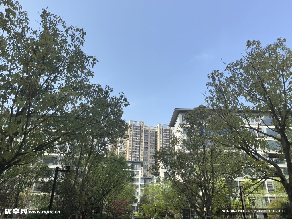 绿树掩映中的高楼建筑