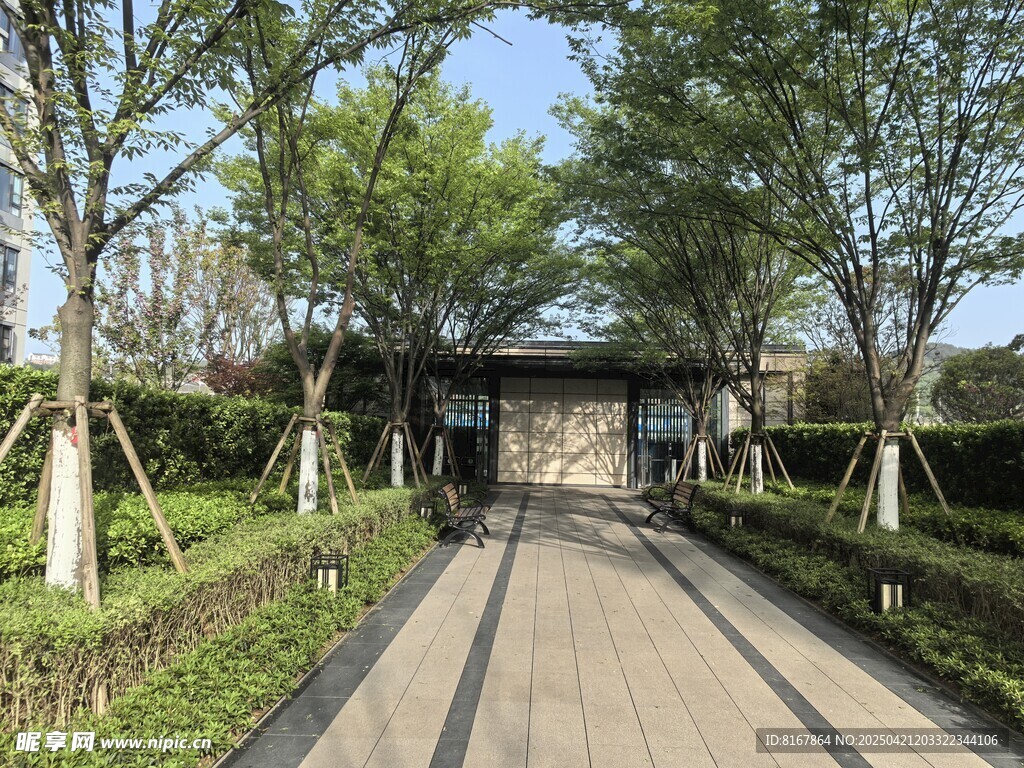 中式庭院林荫小道景观