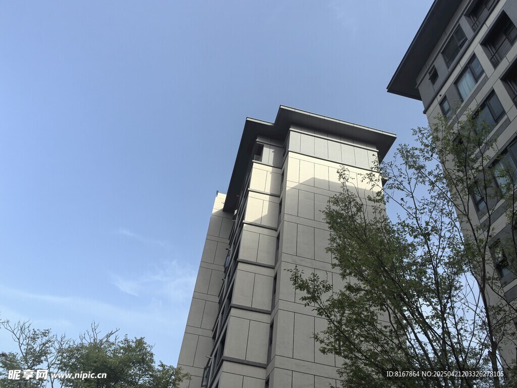 现代高楼与周边绿植景观