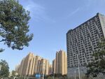 城市高楼与绿树景观