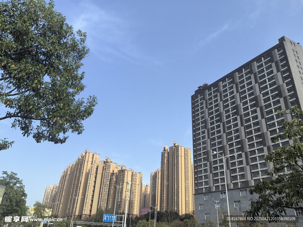 城市高楼与绿树景观