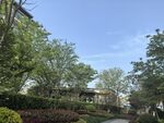 公园中的绿植与建筑景观