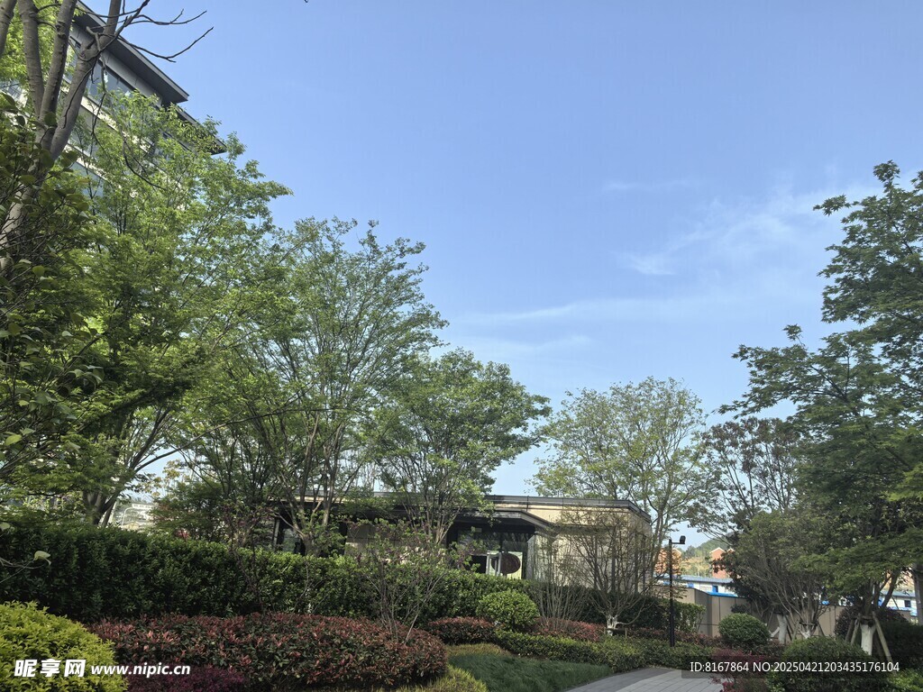 公园中的绿植与建筑景观