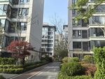 现代小区优美景观道路