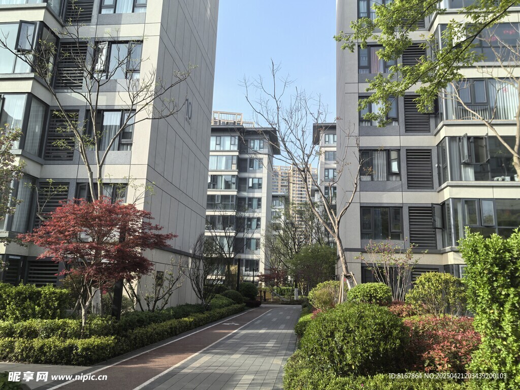 现代小区优美景观道路