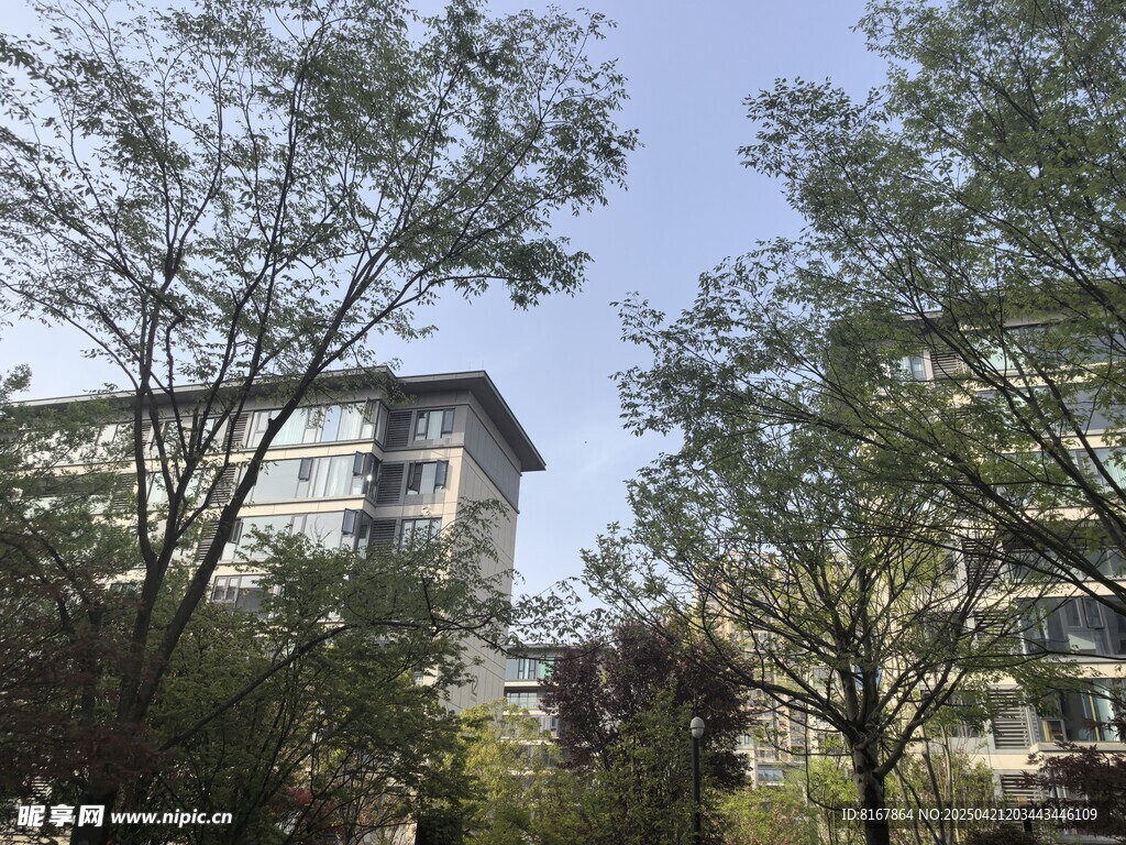 小区绿植环绕的楼宇景观