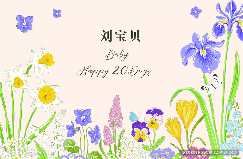 生日派对 野花