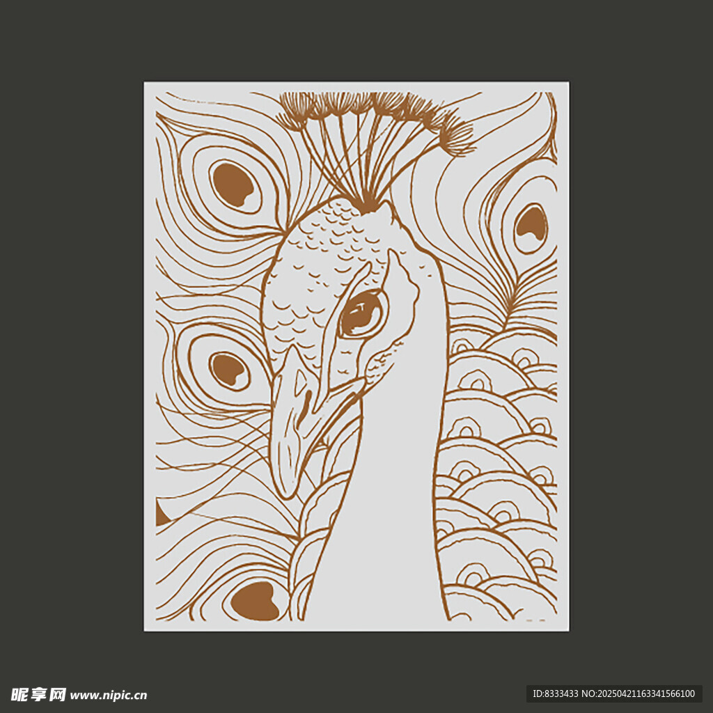 孔雀线条艺术插画