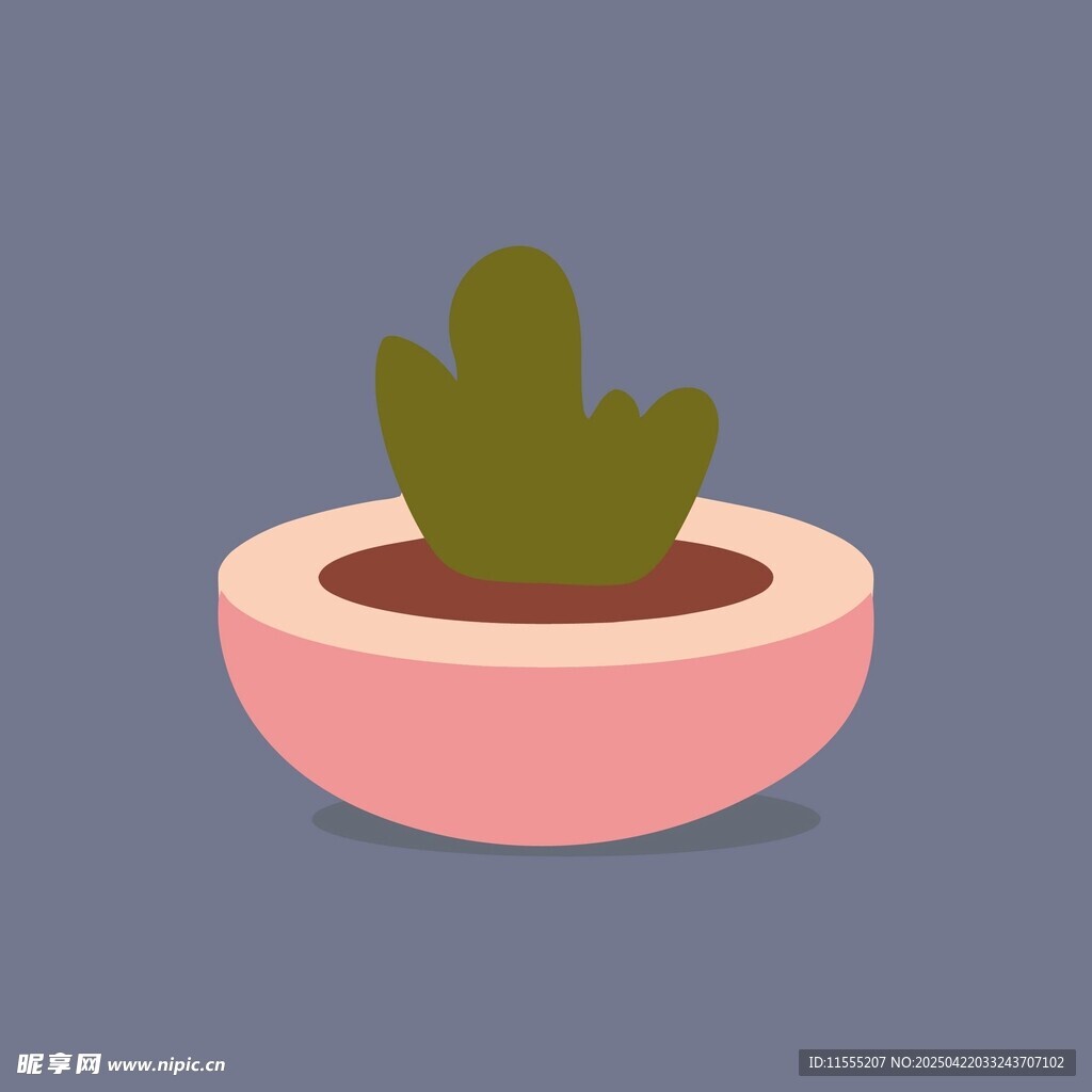 粉色花盆中的绿色仙人掌