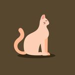 坐着的可爱猫咪