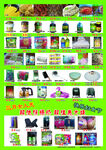 多样商品展示图