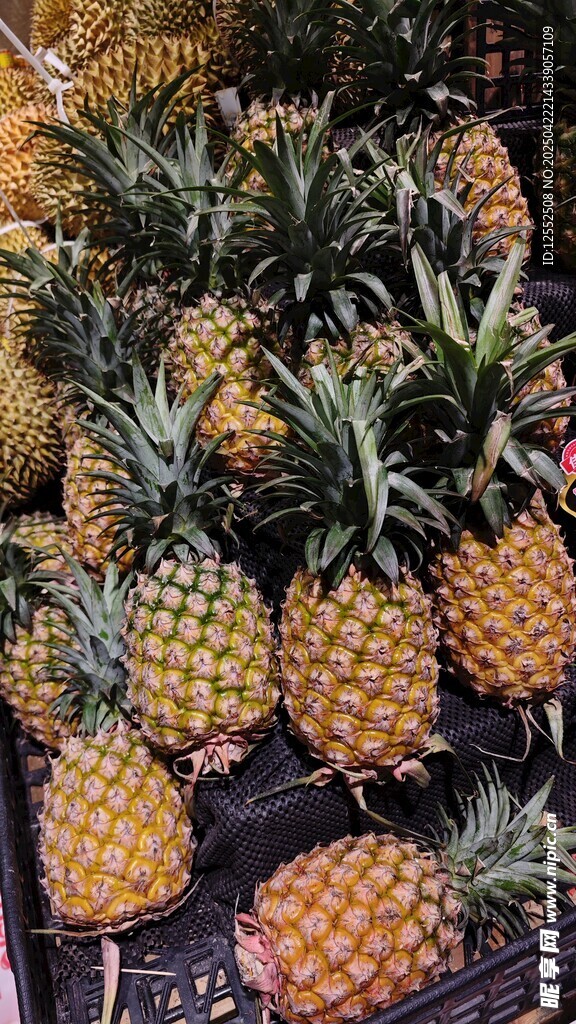 新鲜菠萝