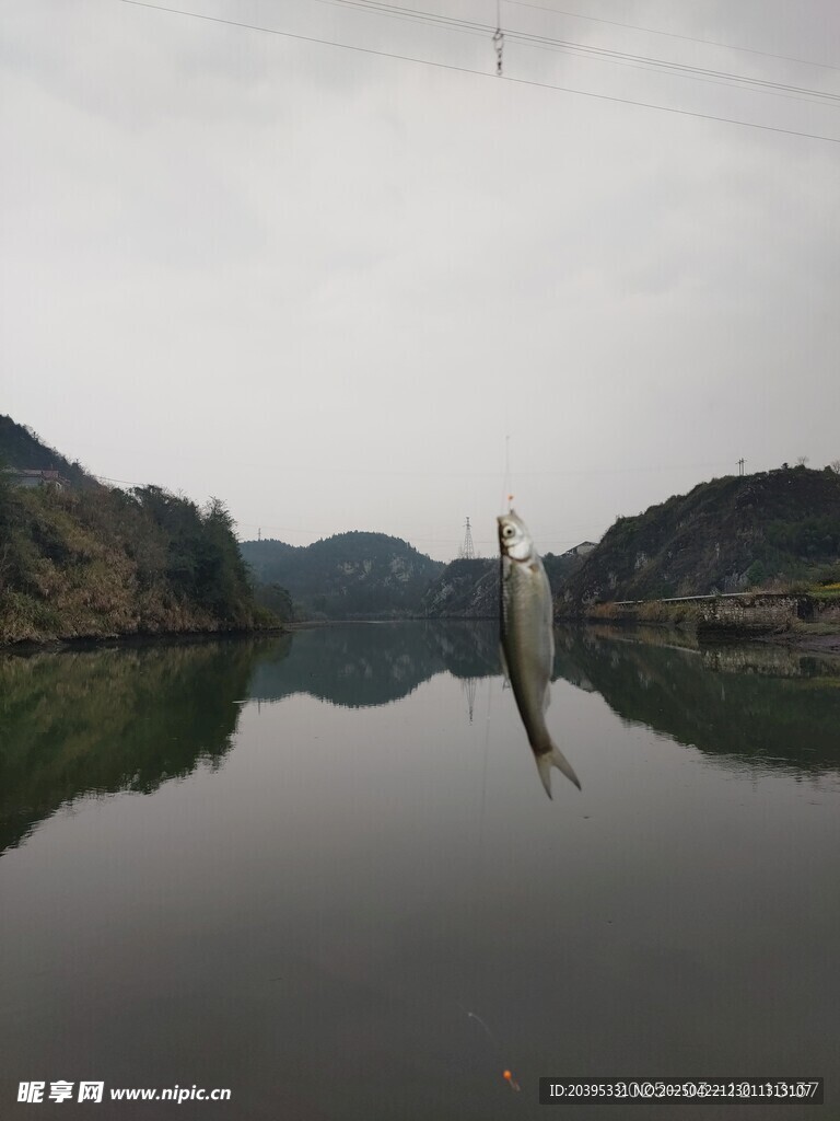 钓鱼