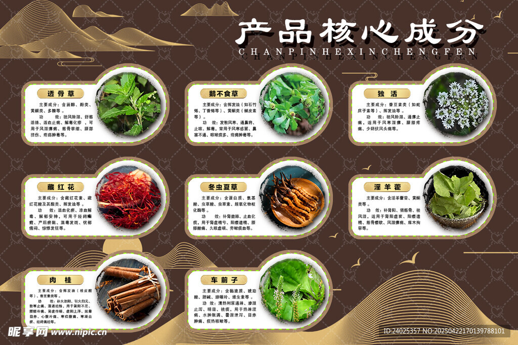 中药材展示