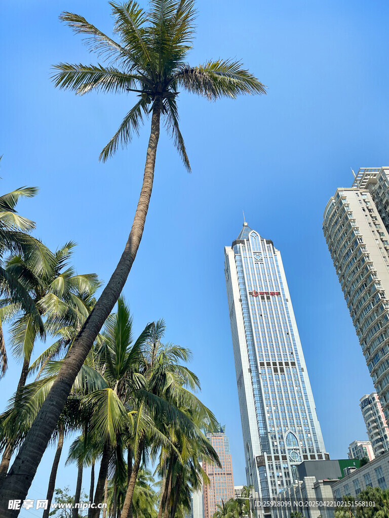 海口地标