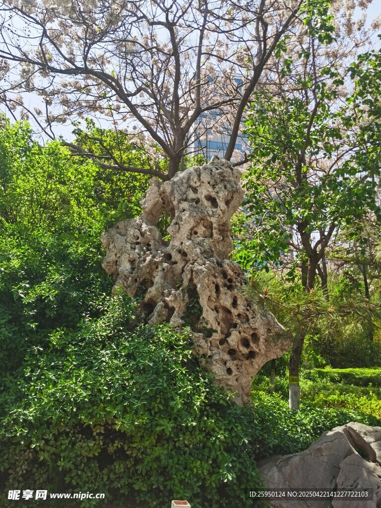 园林奇石