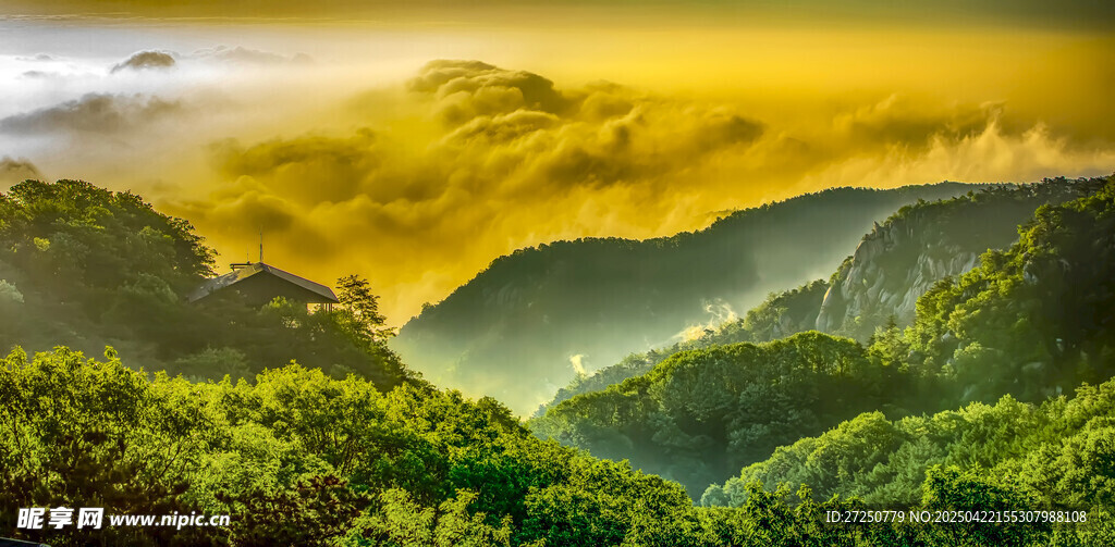 壮丽山峦间的翠绿美景