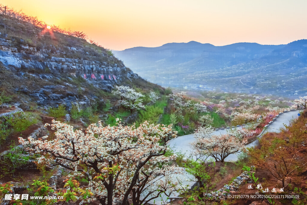 山间春日美景